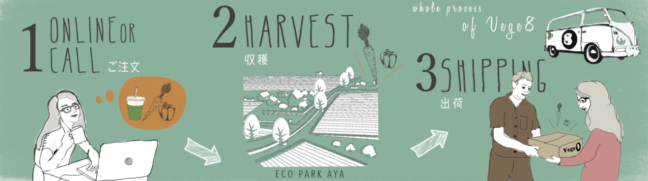 Vege8 | JetB株式会社