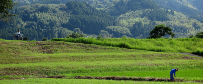 vege2 | JetB株式会社 VEGEのイメージ